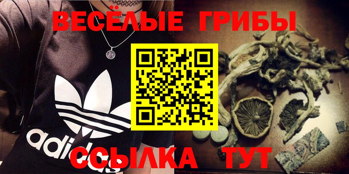 Псилоцибиновые грибы MAGIC MUSHROOMS  Вход с VPN  Нальчик 